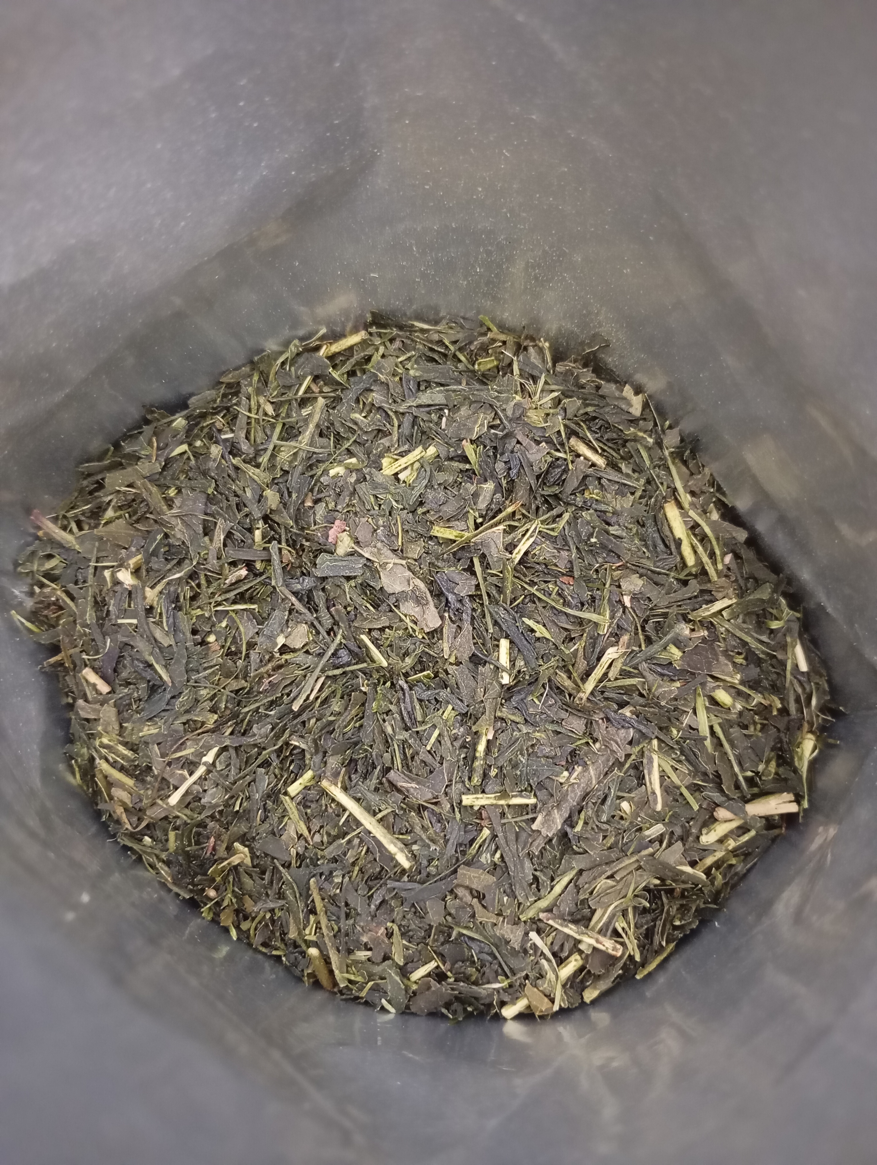 Sencha zdjęcie 2