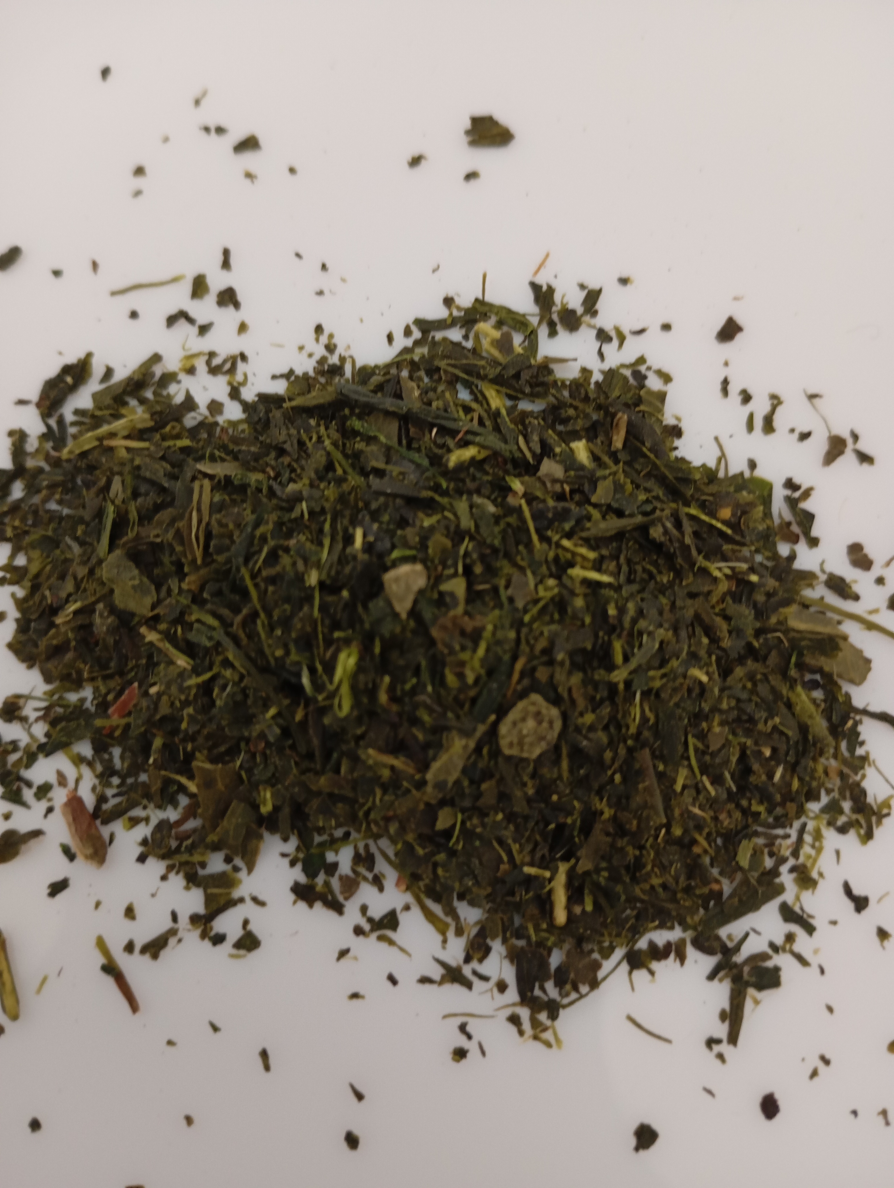 Sencha zdjęcie 3