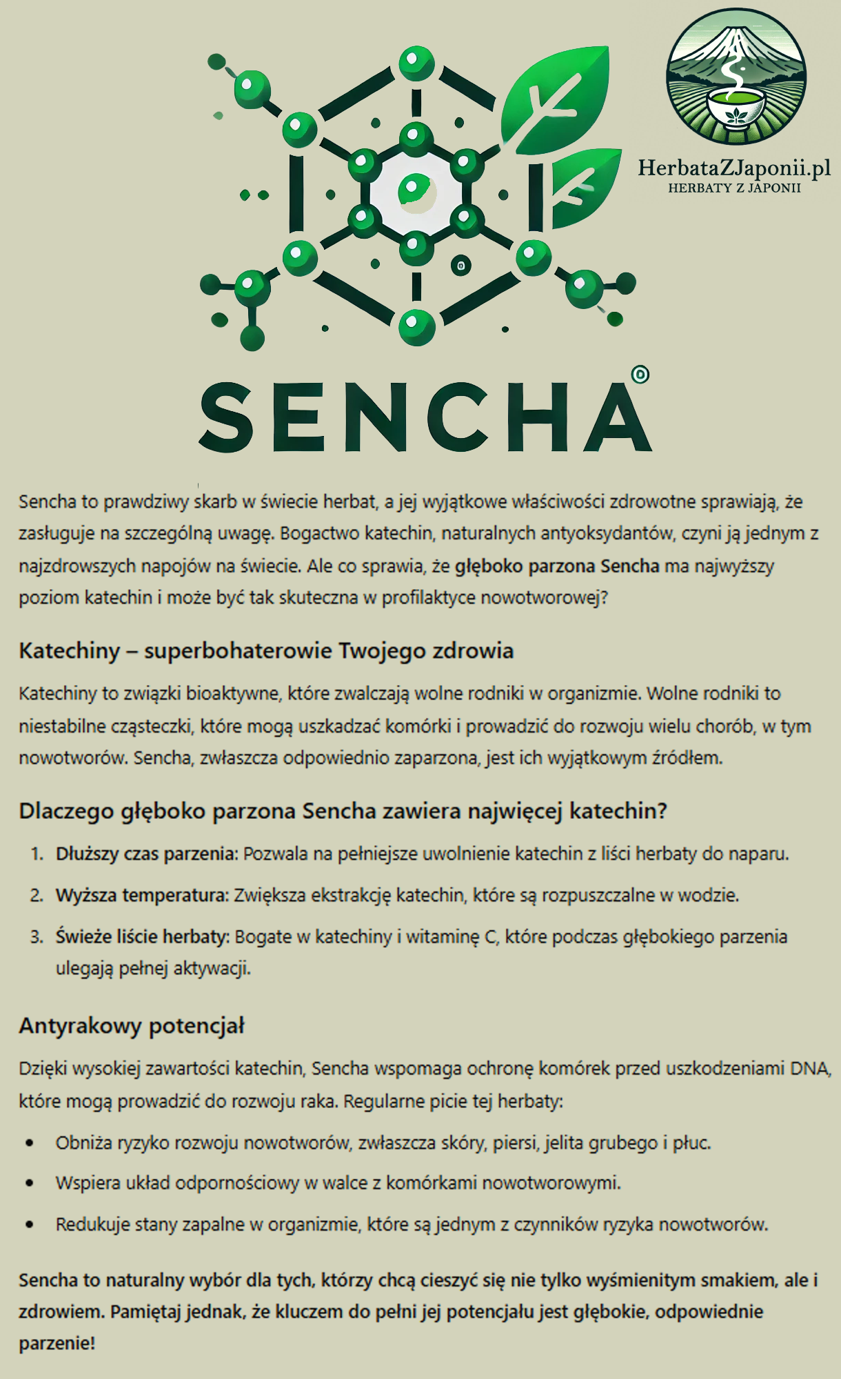 Sencha logo